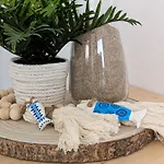 Volkkanrentals Casa Lila Seafront House Guatiza