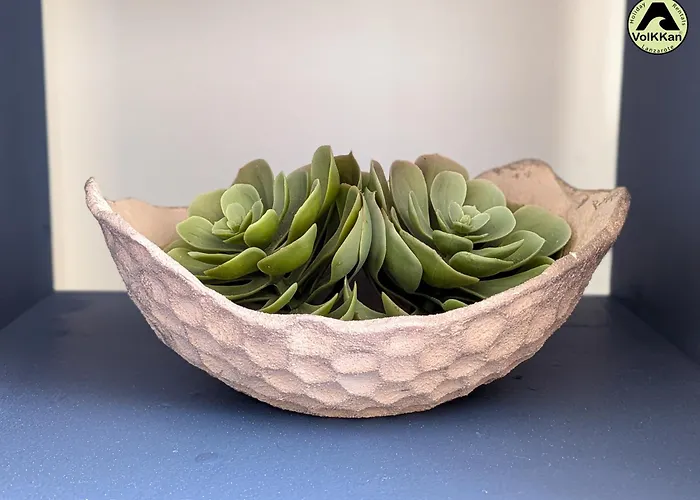 Apartment Volkkanrentals Casa Lila Seafront House